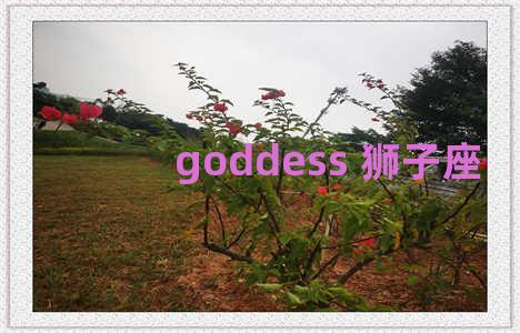 goddess 狮子座